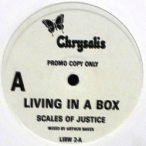 Scales of Justice Image