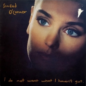 I Do Not Want What I Haven't Got Image