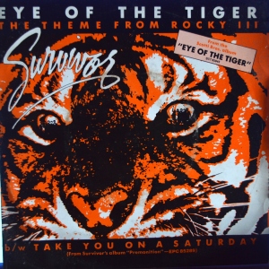 Eye Of The Tiger Image