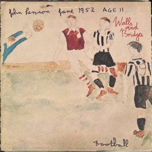 Walls And Bridges Image