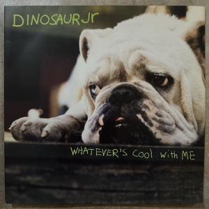 Whatever's Cool With Me Image