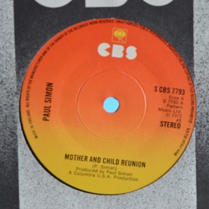 Mother And Child Reunion Image