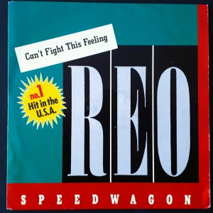 Can't Fight This Feeling Image