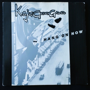Hang On Now Image