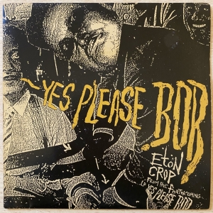 Yes Please Bob Image