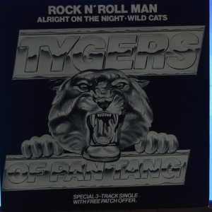 Rock 'N' Roll Man Image