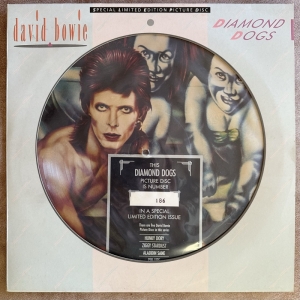 Diamond Dogs Image