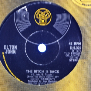 The Bitch Is Back Image