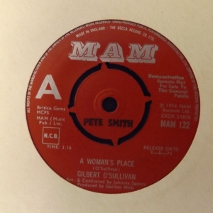 A Woman's Place Image