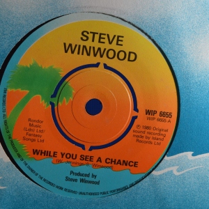 While You See A Chance Image