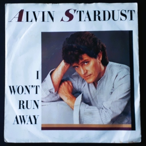I Won't Run Away Image