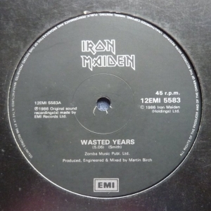 Wasted Years Image