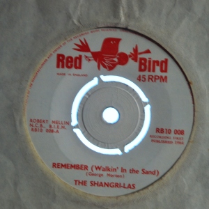 Remember (Walkin' In The Sand) Image