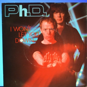 I Won't Let You Down Image
