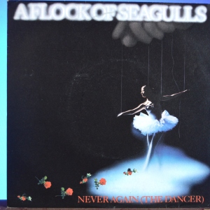 Never Again (The Dancer) Image