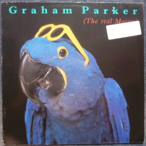 The Real Macaw Image