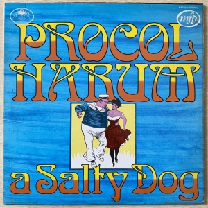 A Salty Dog Image