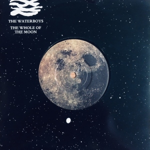 The Whole Of The Moon Image