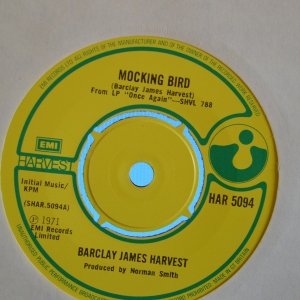 Mocking Bird Image