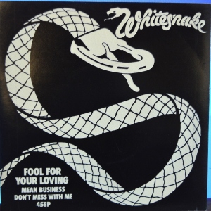 Fool For Your Loving Image