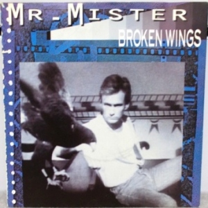 Broken Wings Image
