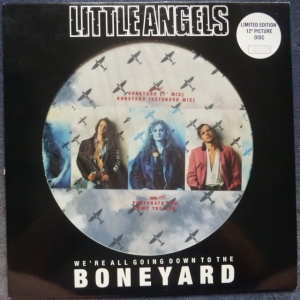 We're All Going To The Boneyard Image