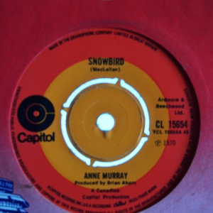Snowbird Image