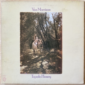 Tupelo Honey Image