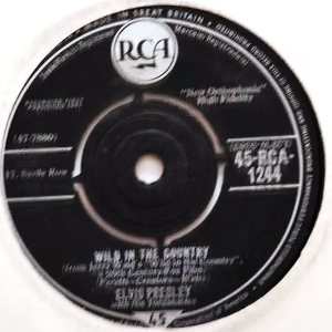 Wild In The Country Image