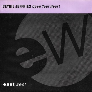 Open Your Heart Image