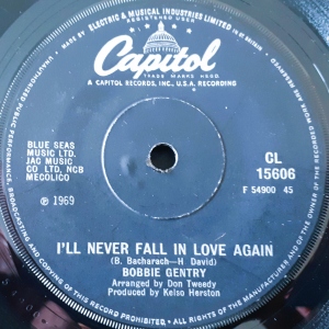 I'll Never Fall In Love Again Image