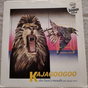The Lion's Mouth Image