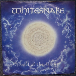 Still Of The Night Image