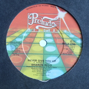Never Give You Up Image