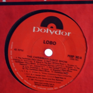 The Caribbean Disco Show Image