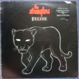 Feline Image