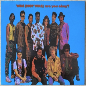 Are You Okay? Image