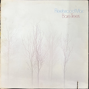 Bare Trees Image