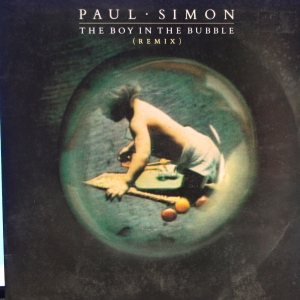 The Boy In The Bubble Image