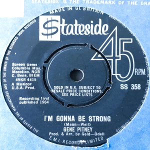 I'm Gonna Be Strong Image