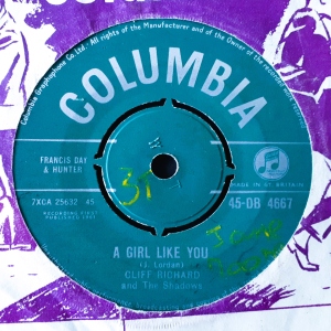A Girl Like You Image