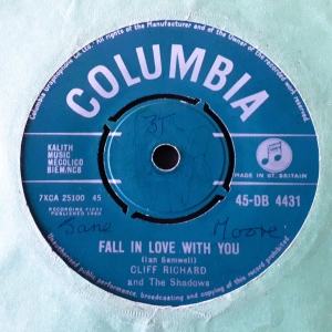 Fall In Love With You Image