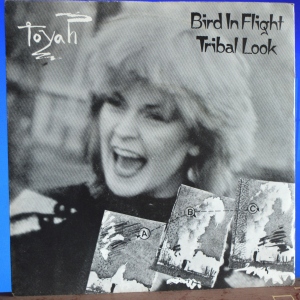 Bird In Flight Image