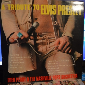 A Tribute To Elvis Presley Image