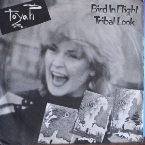 Bird In Flight Image