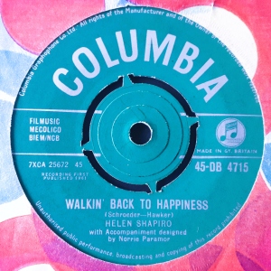 Walkin' Back To Happiness Image
