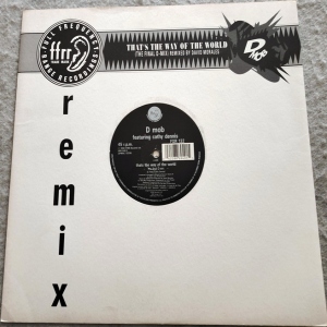 That's The Way Of The World (Remix) Image