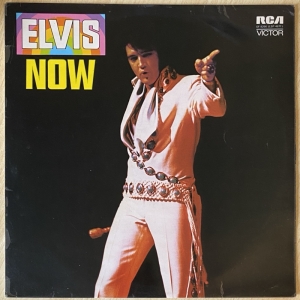 Elvis Now Image
