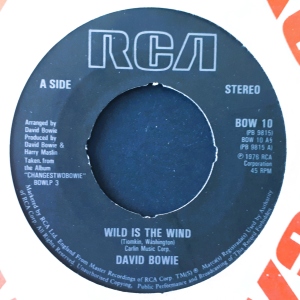 Wild Is The Wind Image