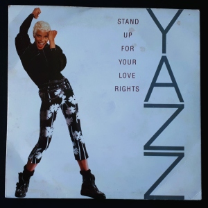 Stand Up For Your Love Rights Image